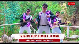 004  13046MUSICA CRISTIANA DE BOLIVIA 2024 TV RADIAL DESPERTANDO AL GIGANTE JOSE CAYO [upl. by Dweck]