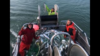 Bristol Bay  First Time Round Hauling in Bristol Bay [upl. by Suoicul]