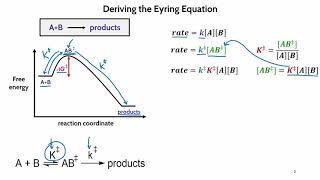 Derivation of the Eyring Equation [upl. by Okubo]