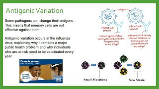 Antigenic Variation [upl. by Muns770]