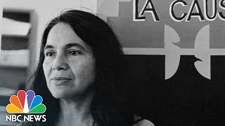 American Identity – Labor Leader Dolores Huerta On Coining Iconic Phrase “Sí Se Puede” [upl. by Irv800]