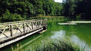 Baselland Tourismus  Ermitage Arlesheim [upl. by Zaid899]