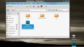 How To add skins to Mplayer in Linux [upl. by Eetnom817]