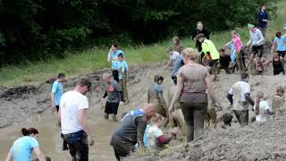 Mud Master 2024 in Arnsberg [upl. by Bendix]