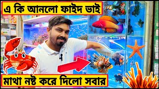 Aquarium Price In Bangladesh। Aquarium Fish Price Katabon। Aquarium Fish Price Bangladesh। Aquarium। [upl. by Prochoras]