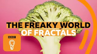 How fractals can help you understand the universe  BBC Ideas [upl. by Harrietta124]