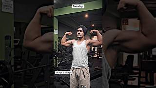 biceps amp triceps workout youtubeshorts motivation gym bisceps bodybuilding [upl. by Anoli]