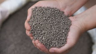 Best phosphate fertilizer [upl. by Yordan467]