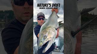 🎳 In the T A C 🍣 King Salmon fishing tacoma washington 🍎 jigging [upl. by Kaden]