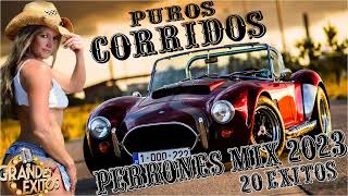 Los 20 Mejor Puros Corridos Perrones Mix 2023 🍺🍺 Para Pistear [upl. by Ariaj]