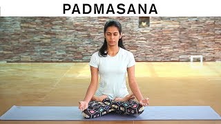 How to do Padmasana  Lotus Pose [upl. by Ahsekel]