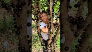 Jaboticaba Fruit Fram amp Cutting so Fresh  Have You tried Jaboticaba fruit shorts youtubeshorts [upl. by Anirec]