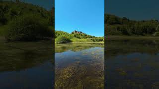 Bamburgh Castle northumberland castle shorts [upl. by Zela]