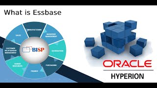 What is Essbase  Oracle Hyperion Essbase  Oracle EPM Consulting  Oracle EPM Cloud [upl. by Bolme]