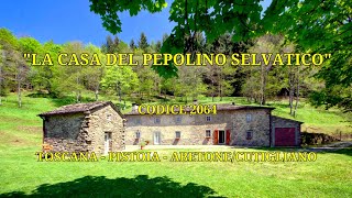 La CASA del PEPOLINO SELVATICO  Casale in Vendita a Abetone Cutigliano PT con giardino RIF 2064 [upl. by Froemming149]