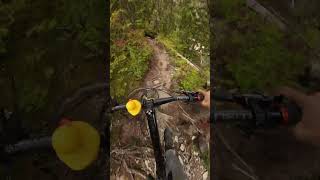 Jumps arent the only thing in the bike park mtb whistlerbikepark automobilecycling bike [upl. by Yojal166]