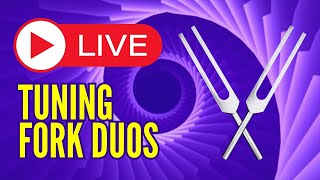 LifeChanging Tuning Fork Duos to Supercharge Your Vitality [upl. by Nitsugua]