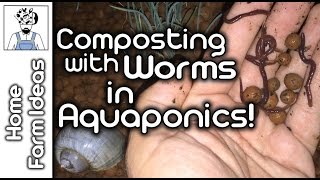 Composting with Worms in Aquaponics [upl. by Ardnuassac]