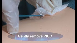 How to Remove a PICC Demo [upl. by Toulon166]