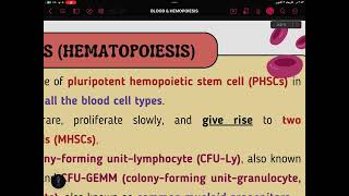 Blood part 2 histology 🩸 [upl. by Kopp235]