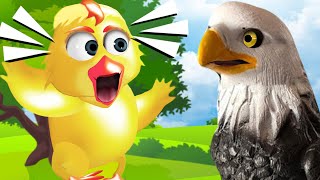 MEU PINTINHO AMARELINHO 🐥 MÚSICA INFANTIL 🎵 NURSERY RHYMES 🎵 MY YELLOW LITTLE CHICK 🐥 KIDS SONG🎵 [upl. by Barret]