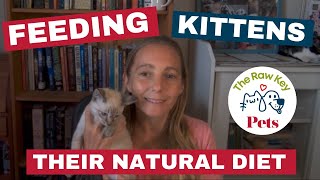 Healing Dogs and Cats Chat Episode 004 Feeding Kittens [upl. by Johns]