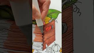 Alcohol markers in Colors of Autumn coloring book coloring coloringbook [upl. by Aurie]