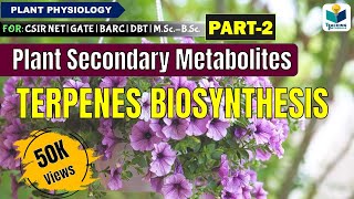 PLANTS SECONDARY METABOLITES PART2 TERPENES BIOSYNTHESIS CSIR NET [upl. by Harlow]