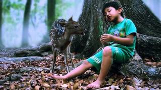 quotHichchi Putha Hithata Aranquot Song By Amarasiri Munasinghe [upl. by Seem647]