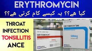 Erythrocin Erythromycin 500MG Tab Uses amp Side Effects In Urdu Hindi  Erythromycin For Sore Throat [upl. by Sineray]