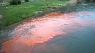 Rhodaime Dye Test In Porsuk River [upl. by Pascha]