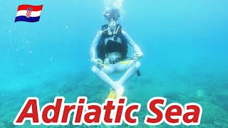 【Scuba diving】 Adriatic Sea in Dubrovnik of Croatia  アドリア海 クロアチアのドブロブニクでスキューバダイビング [upl. by Fortna]