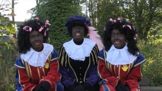 PROMO Het Alphens Sinterklaasjournaal 2014 [upl. by Eiramanitsirhc]