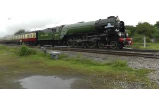 Steam Train 60163 Tornado storms through Padworth quotThe Cornishmanquot 29 May 17 [upl. by Wenona316]