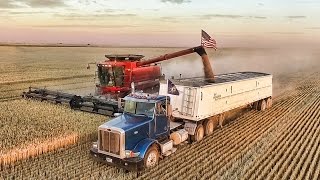 Welker Farms 2016  Part 3  Harvest [upl. by Yk687]