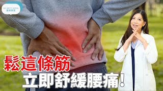 鬆這條筋立即舒緩腰痛脊醫王鳳恩 中Eng Sub Do this stretch to relief lower back pain  Dr Matty Wong DC [upl. by Kraft]