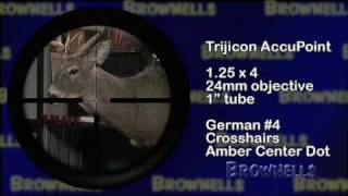 Brownells  Trijicon Accupoint Scopes [upl. by Malynda80]