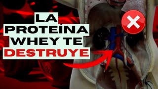 DEJA de Tomar Proteína WHEY ¡PARA SIEMPRE  La Oscura VERDAD del FITNESS [upl. by Delinda854]