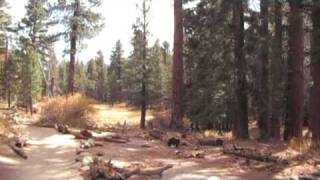 Long Valley Creek trail on Mount San Jacinto [upl. by Egroeg]