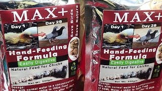 Max  Pigeon Hand Feeding Formula 100 Result Product [upl. by Clementius993]