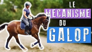 LE GALOP  Séance montée 🐎 [upl. by Unity]