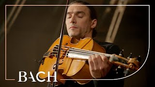 Bach  Cello Suite no 6 in D major BWV 1012  Malov  Netherlands Bach Society [upl. by Ressan]