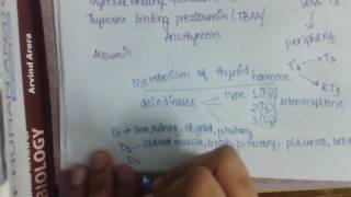 Thyroid harmone Transport Metabolism and excretion  pharmacology [upl. by Llerud]