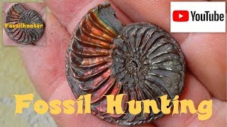 Fossil Hunting Adventure  Fossiliensuche  Ammonites Belemnites  Fossilien suchen [upl. by Baecher]