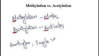 USMLE ACE Video 18 DNA Methylation and Histone Acetylation [upl. by Modnarb]