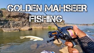 Golden Mahseer Fishing  Snakehead Fishing  wollago attu Fishing  Today is All Fishing [upl. by Enatan189]