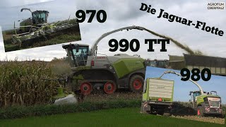 970 980 990 TT  Die JaguarFlotte auf Maisjagd  Lohnunternehmen Zintl  SOUND [upl. by Annaitsirhc]