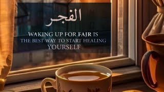 quotHeart Soothing Recitation  Surah AlFajr by Abdul Wahab Changquot [upl. by Arykat]