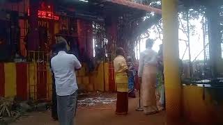 Temple Festival devotional templefestival like temple trending trend muralisview youtuber [upl. by Idram627]