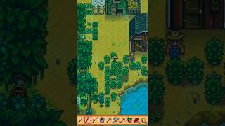 Green Rain  Weather event  Summer  Moss  Green substance  stardewvalleywalkthrough gameplay [upl. by Hnilym900]